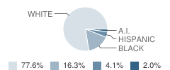 917 Sun School Student Race Distribution