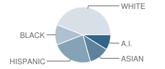 River's Edge Academy Student Race Distribution