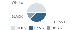 Prairie Care School Student Race Distribution