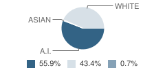 Orr Secondary School Student Race Distribution