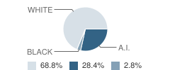 Tower-Soudan Secondary School Student Race Distribution
