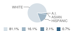 Buffalo Lake-Hector Elementary School Student Race Distribution