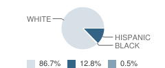 Belgrade-Brooten-Elrosa Elementary School Student Race Distribution