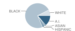 Minnesota Transitions Charter School Student Race Distribution