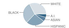 Metropolitan Learning Alliance School Student Race Distribution