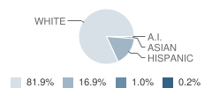 Lakeside Elementary School Student Race Distribution