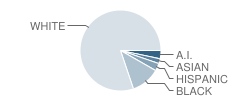 Franklin Elementary School Student Race Distribution