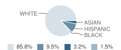 Bluff Creek Elementary School Student Race Distribution