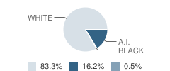 Connor-Jasper Middle School Student Race Distribution