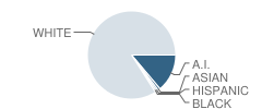 Greenway High School Student Race Distribution