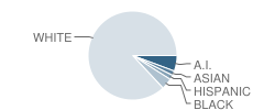 Denfeld High School Student Race Distribution