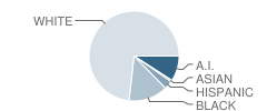 Lincoln Park Elementary School Student Race Distribution