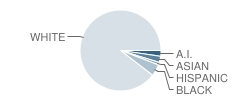 Woodland Middle School Student Race Distribution