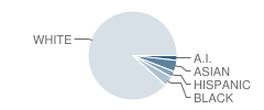 Salk Middle School Student Race Distribution