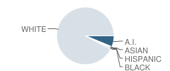 Memorial Secondary School Student Race Distribution