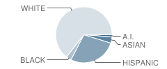 Faribault Area Learning Center School Student Race Distribution