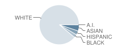Meadowview Elementary School Student Race Distribution