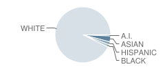 Forest Lake High School Student Race Distribution