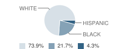 Hastings Alternative Center School Student Race Distribution