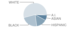 Alice Smith Elementary School Student Race Distribution