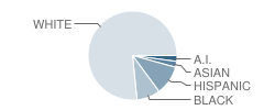 Simley Alternative Program School Student Race Distribution