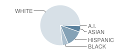 Burroughs Elementary School Student Race Distribution