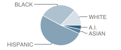 Jefferson Elementary School Student Race Distribution