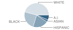 Keewaydin Elementary School Student Race Distribution