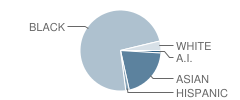 North High School Student Race Distribution