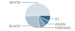 South High School Student Race Distribution