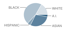 Bryn Mawr Elementary School Student Race Distribution