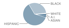 Green Central Park Elementary School Student Race Distribution