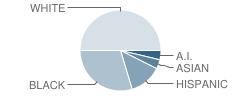 Loring-Nicollet High School Student Race Distribution