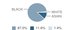 City Inc. North School Student Race Distribution