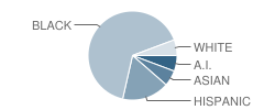 Hennepin County Juvenile Center School Student Race Distribution