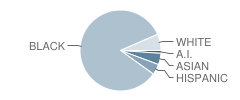 Hall Elementary School Student Race Distribution