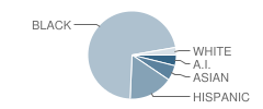 Broadway Education Place School Student Race Distribution