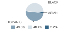 Wellstone International High School Student Race Distribution