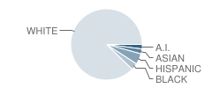 Moorhead High School Student Race Distribution