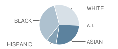 Brooklyn Junior High School Student Race Distribution