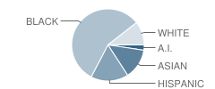 Crest View Elementary School Student Race Distribution