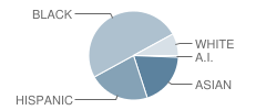 Zanewood Community School Student Race Distribution