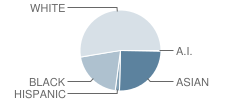 Woodland Elementary School Student Race Distribution