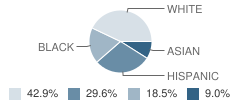 Sheridan Hills Elementary School Student Race Distribution