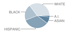 Richfield Middle School Student Race Distribution