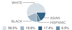 Bridge Area Learning Center School Student Race Distribution
