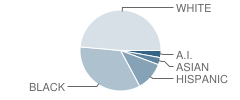 Rahncliff Abe Diploma Program School Student Race Distribution