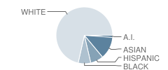 Red Oak Elementary School Student Race Distribution