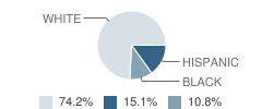 St. Paul Community Learning Center School Student Race Distribution