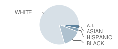 South Junior High School Student Race Distribution